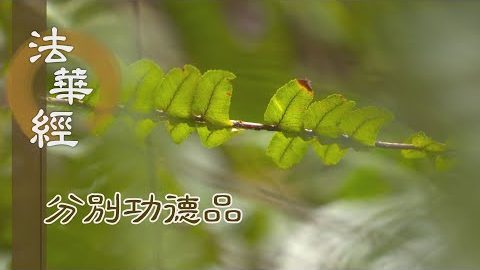誦持是經 頂戴如來 - 第1595集