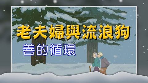 老夫妇与流浪狗~流浪狗要如何救出遇难的老人家?