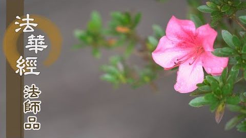 《法華經 法師品》- 修習法華 得近泥洹 - 第1234集