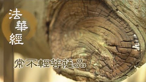 《法華經 常不輕菩薩品》淨心修習 菩薩六行 - 第1728集