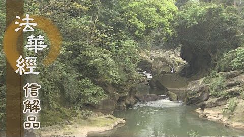 《法華經 信解品》解佛心 大歡喜 - 第737集