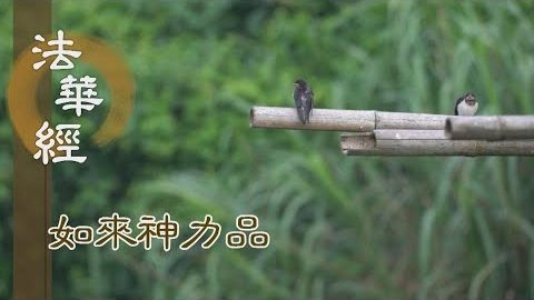 《法華經 如來神力品》祥雲湧聚 心通境現 - 第1781集