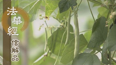 《法華經 信解品》少欲多善 慧德豪富 - 第817集