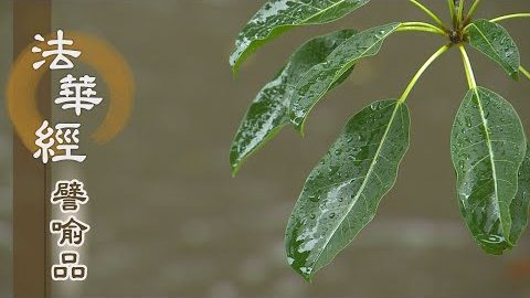 《法華經 譬喻品》心農與心僕 - 第532集