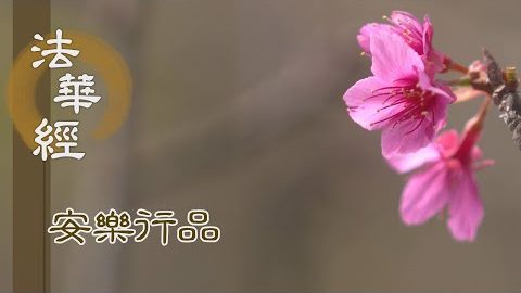 第四安樂 誓願度生 - 第1435集