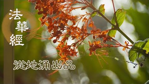 調伏三業 制諸惡行 - 第1488集