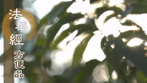 知苦明諦勤精進 - 第229集