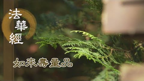 彌勒騰疑 佛說壽量 - 第1507集