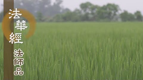 《法華經 法師品》- 新學菩薩 聞經驚疑 - 第1237集