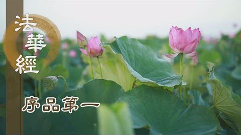 受持如來法藏 - 第176集