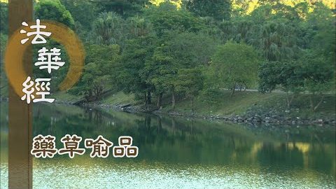 《法華經 藥草喻品》 - 潤於人華 各得成實 - 第925集
