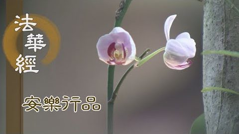 髻中明珠 不即與之 - 第1440集