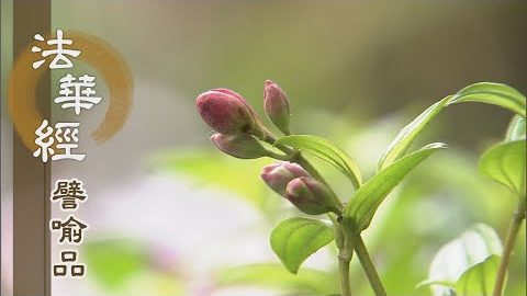 《法華經 譬喻品》持心無漏 速出三界 - 第597集