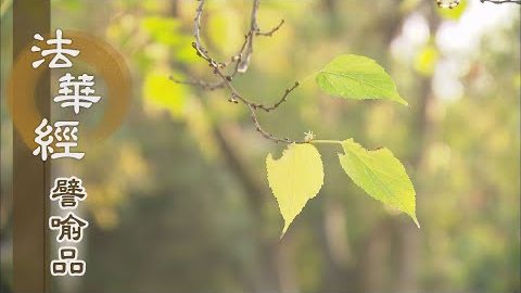 《法華經 譬喻品》根異教殊 秉慧運智 - 第662集