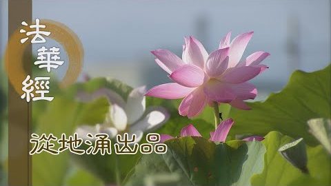 他方請願 佛即止之 - 第1459集