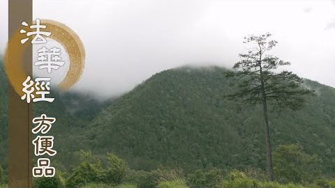 一切法相真如理 - 第438集