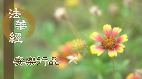 有為無為 實不實法 - 第1406集