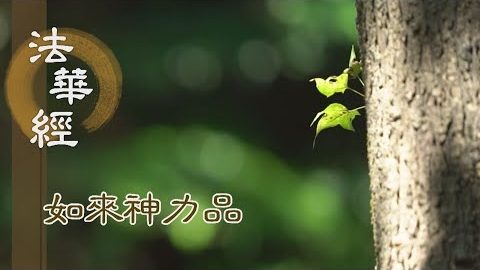 《法華經如來神力品》談空說有 顯淨微妙 - 第1771集