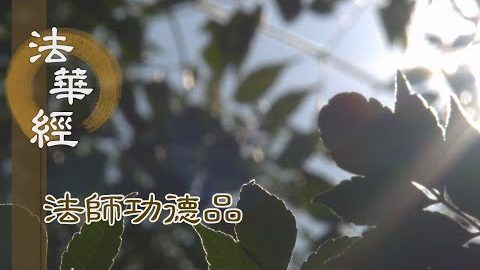 頓昧因緣 是為生苦 - 第1690集