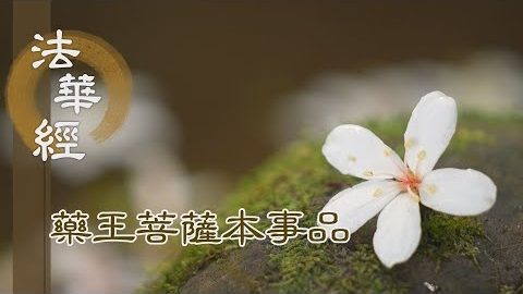 《法華經 藥王菩薩本事品》以心淨明 累世勤修 - 第1827集