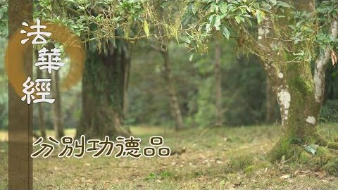 修七善法 建七寶塔 - 第1598集