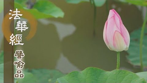 《法華經 譬喻品》立誓願 修梵行 - 第500集