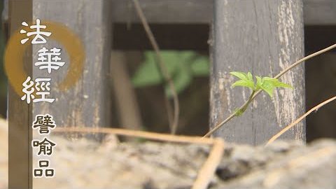 《法華經 譬喻品》無明欲熾 調心為藥 - 第556集