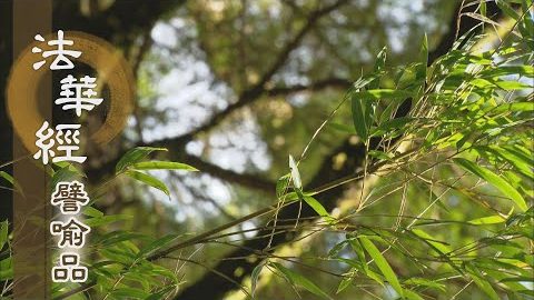 《法華經 譬喻品》隨喜頂受 隨他修善 - 第690集