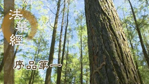 《法華經 序品第一》- 行於中道 - 第117集