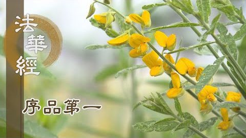 《法華經 序品第一》- 說法因緣不思議 - 第75集