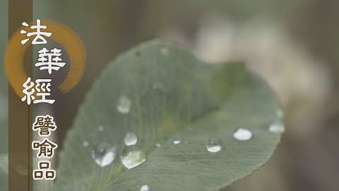 《法華經 譬喻品》法性為身 同為佛子 - 第469集