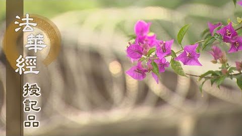 《法華經 授記品》 - 契苦諦 行六度 - 第938集