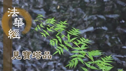 《法華經 見寶塔品》- 平等大慧 教菩薩法 - 第1260集