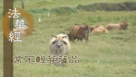 《法華經 常不輕菩薩品》罪報既盡 復遇教化 - 第1756集