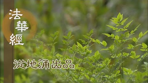 一切有為 皆是生滅 - 第1480集