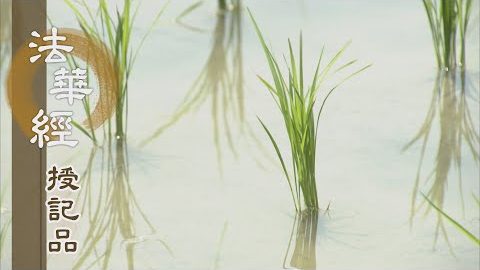 《法華經 授記品》 - 無漏福慧 為最後身 - 第942集