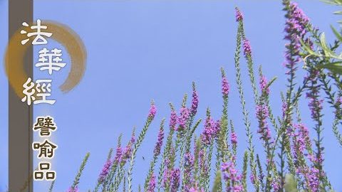 《法華經 譬喻品》妙權方便 安住實智 - 第481集