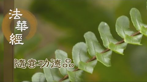 見聞隨喜 深心信解 - 第1644集