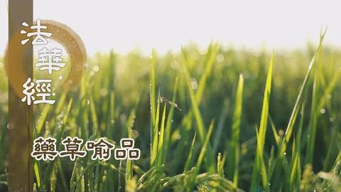 《法華經 藥草喻品》 - 說法度生 終不疲厭 - 第911集