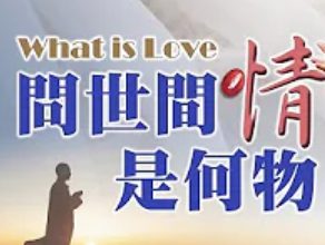 232-問世間情是何物