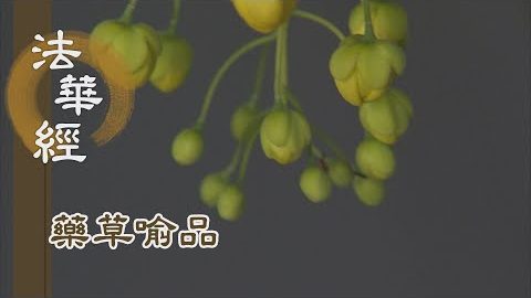 《法華經 藥草喻品》 - 破有法王 出現世間 - 第896集