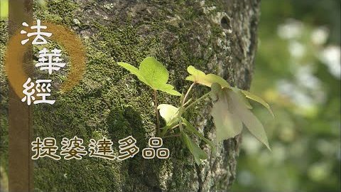 《法華經 提婆達多品》- 以信為本 具德速證 - 第1347集