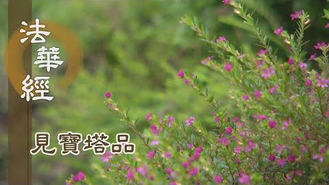 《法華經 見寶塔品》- 變土迎賓 華藏淨界 - 第1273集