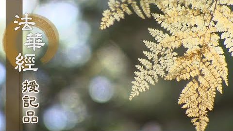 《法華經 授記品》 - 因中無過 果上無惡 - 第963集