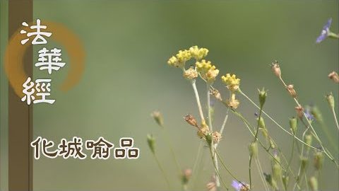 《法華經 化城喻品》 - 見光稀有 勸眾同求 - 第1007集