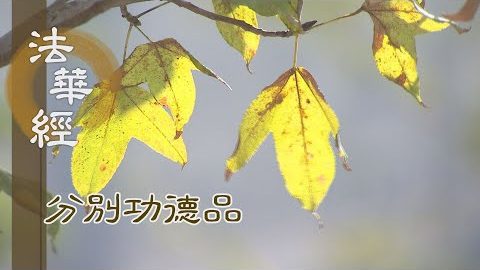 離垢無染 淨極明生 - 第1563集