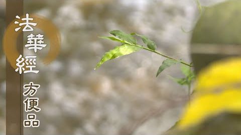 清淨涅槃 圓融無礙 - 第231集