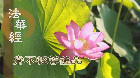 《法華經 常不輕菩薩品》四聖諦法 證聲聞果 - 第1735集