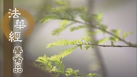 《法華經 譬喻品》質直無偽 志念堅固 - 第501集