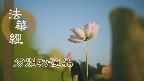 四事布施 回向佛道 - 第1581集